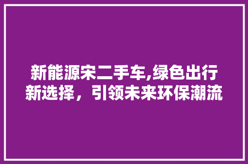 新能源宋二手车,绿色出行新选择，引领未来环保潮流