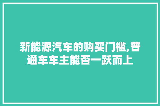 新能源汽车的购买门槛,普通车车主能否一跃而上