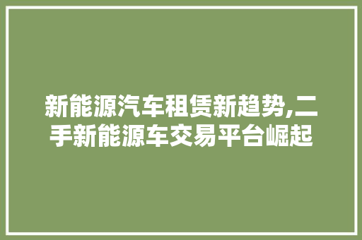 新能源汽车租赁新趋势,二手新能源车交易平台崛起