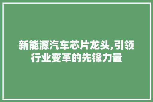新能源汽车芯片龙头,引领行业变革的先锋力量