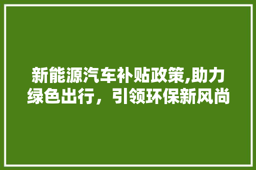 新能源汽车补贴政策,助力绿色出行，引领环保新风尚