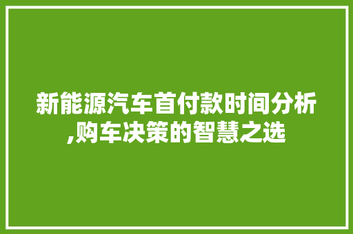 新能源汽车首付款时间分析,购车决策的智慧之选