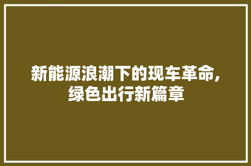 新能源浪潮下的现车革命,绿色出行新篇章