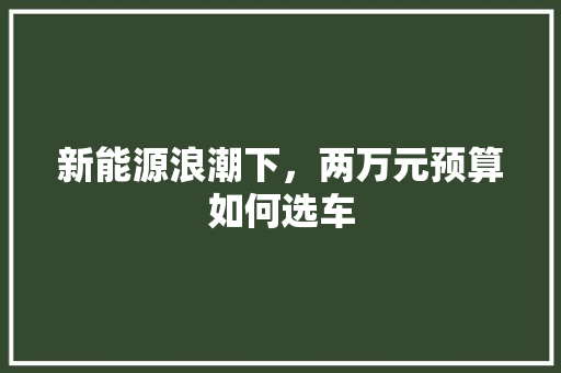 新能源浪潮下，两万元预算如何选车