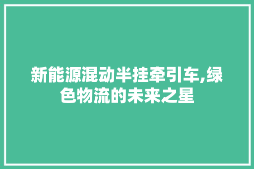 新能源混动半挂牵引车,绿色物流的未来之星 车联网技术