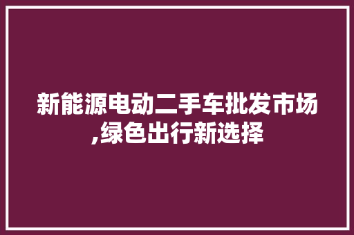 新能源电动二手车批发市场,绿色出行新选择