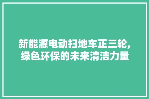 新能源电动扫地车正三轮,绿色环保的未来清洁力量