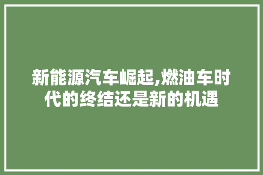 新能源汽车崛起,燃油车时代的终结还是新的机遇