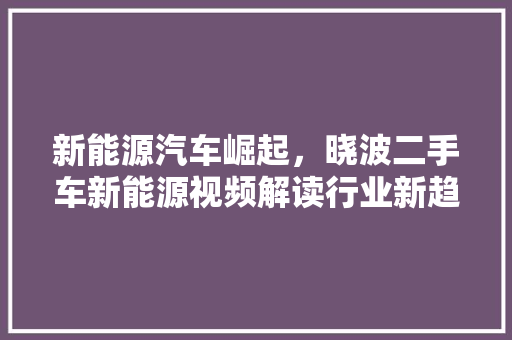 新能源汽车崛起，晓波二手车新能源视频解读行业新趋势 车型评测