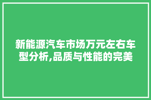 新能源汽车市场万元左右车型分析,品质与性能的完美结合