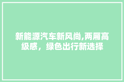 新能源汽车新风尚,两厢高级感，绿色出行新选择