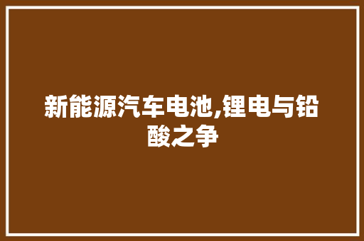 新能源汽车电池,锂电与铅酸之争