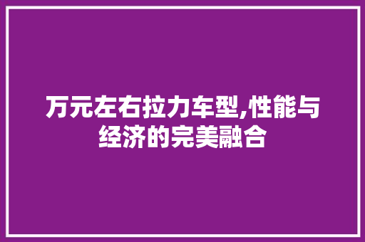 万元左右拉力车型,性能与经济的完美融合