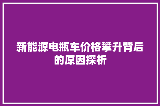 新能源电瓶车价格攀升背后的原因探析