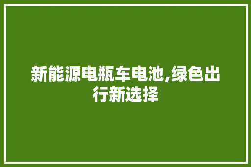 新能源电瓶车电池,绿色出行新选择