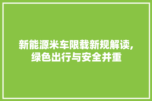 新能源米车限载新规解读,绿色出行与安全并重