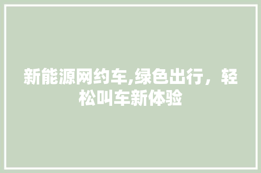 新能源网约车,绿色出行，轻松叫车新体验