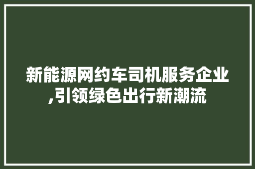新能源网约车司机服务企业,引领绿色出行新潮流