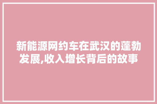 新能源网约车在武汉的蓬勃发展,收入增长背后的故事