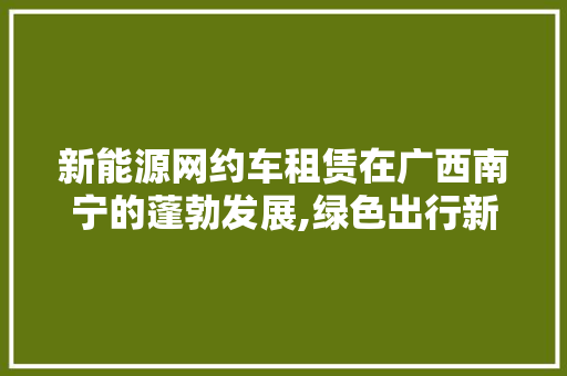 新能源网约车租赁在广西南宁的蓬勃发展,绿色出行新篇章 汽车展览