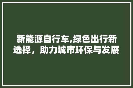 新能源自行车,绿色出行新选择，助力城市环保与发展