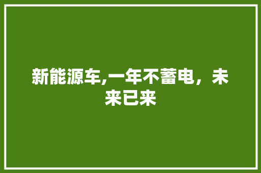 新能源车,一年不蓄电，未来已来