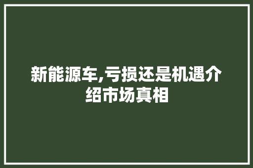 新能源车,亏损还是机遇介绍市场真相