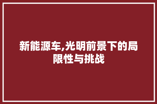 新能源车,光明前景下的局限性与挑战
