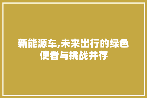 新能源车,未来出行的绿色使者与挑战并存