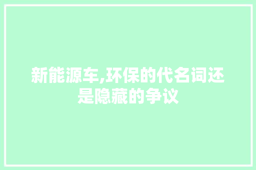 新能源车,环保的代名词还是隐藏的争议