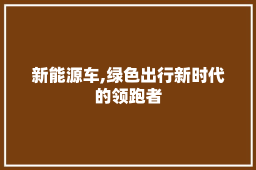 新能源车,绿色出行新时代的领跑者
