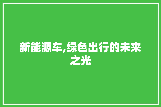 新能源车,绿色出行的未来之光