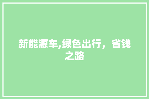 新能源车,绿色出行，省钱之路