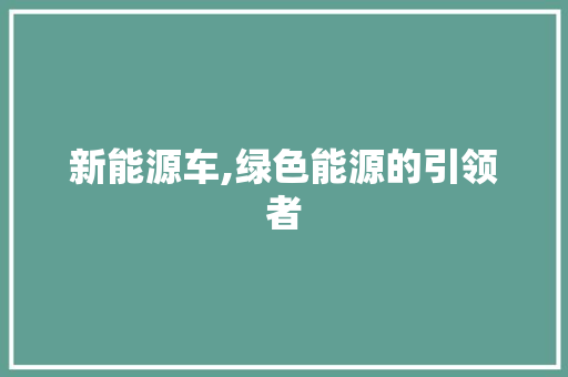 新能源车,绿色能源的引领者