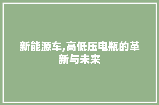 新能源车,高低压电瓶的革新与未来