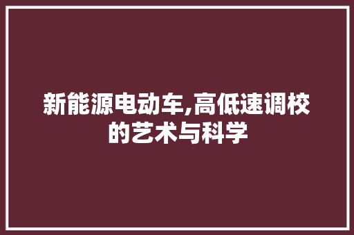 新能源电动车,高低速调校的艺术与科学