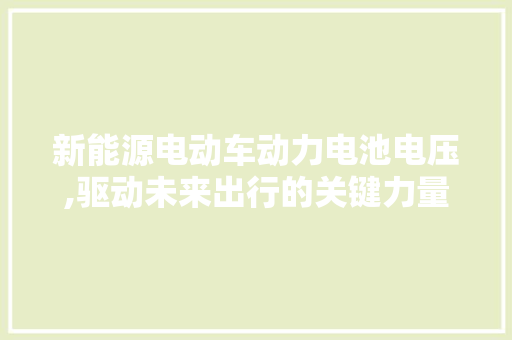 新能源电动车动力电池电压,驱动未来出行的关键力量