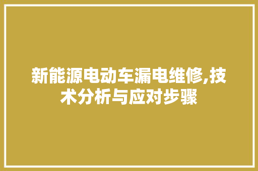 新能源电动车漏电维修,技术分析与应对步骤 汽车展览