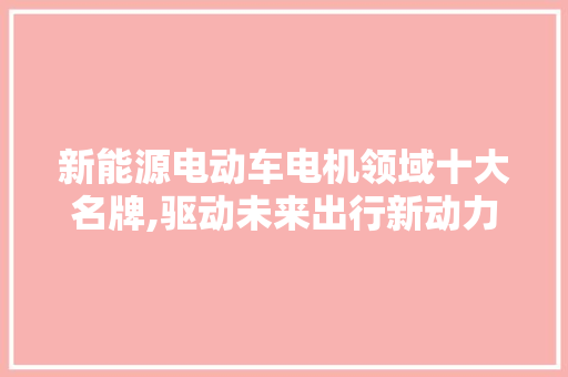 新能源电动车电机领域十大名牌,驱动未来出行新动力