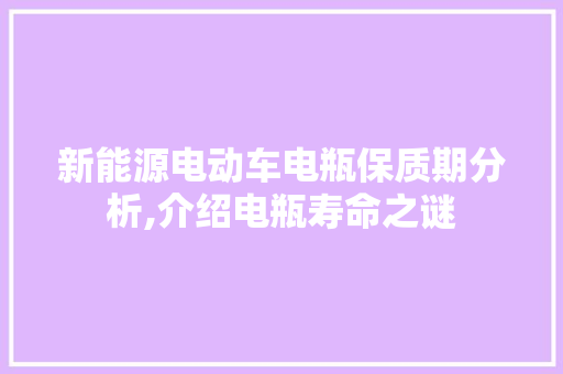 新能源电动车电瓶保质期分析,介绍电瓶寿命之谜