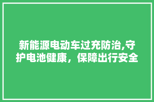 新能源电动车过充防治,守护电池健康，保障出行安全