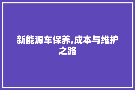 新能源车保养,成本与维护之路