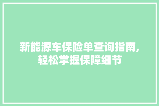 新能源车保险单查询指南,轻松掌握保障细节
