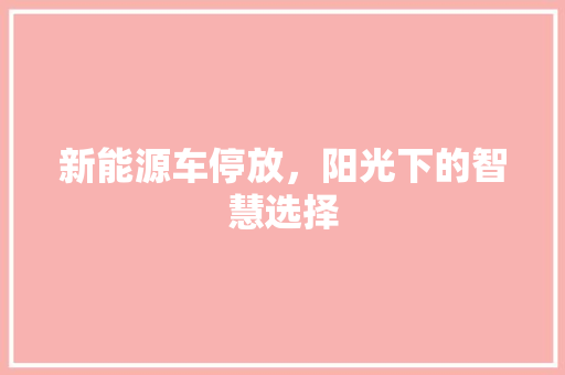 新能源车停放，阳光下的智慧选择