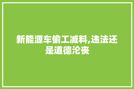 新能源车偷工减料,违法还是道德沦丧