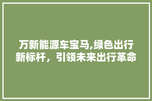 万新能源车宝马,绿色出行新标杆，引领未来出行革命