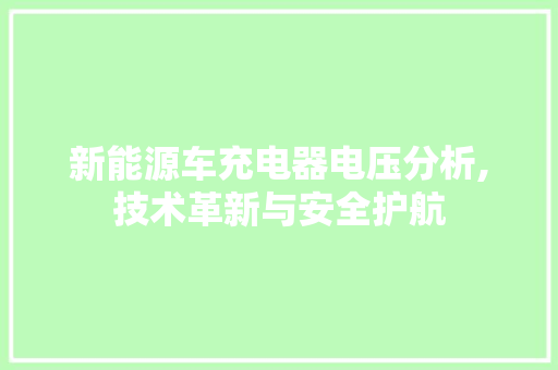 新能源车充电器电压分析,技术革新与安全护航