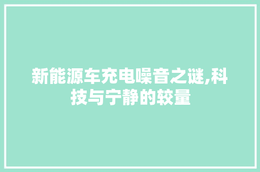 新能源车充电噪音之谜,科技与宁静的较量