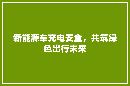 新能源车充电安全，共筑绿色出行未来