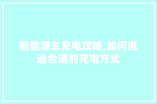 新能源车充电攻略,如何挑选合适的充电方式